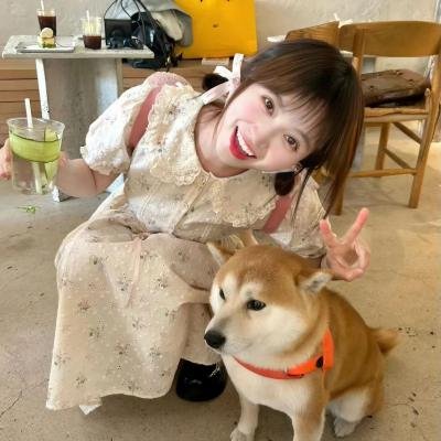 血染鲨海