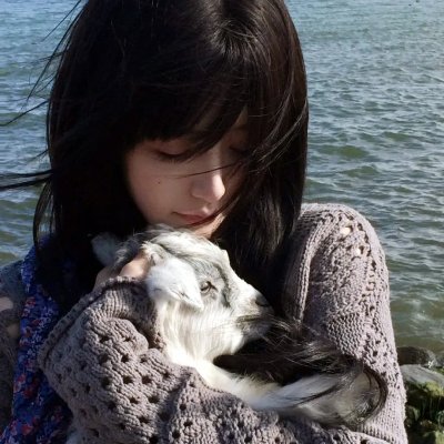 黑色郁金香