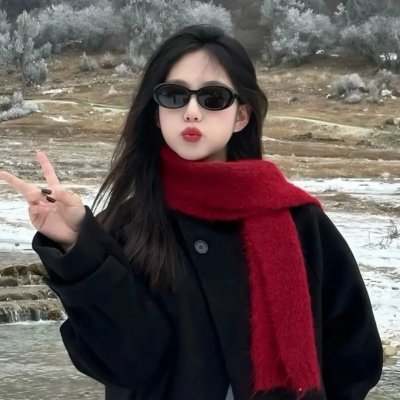 阿尔忒弥斯计划